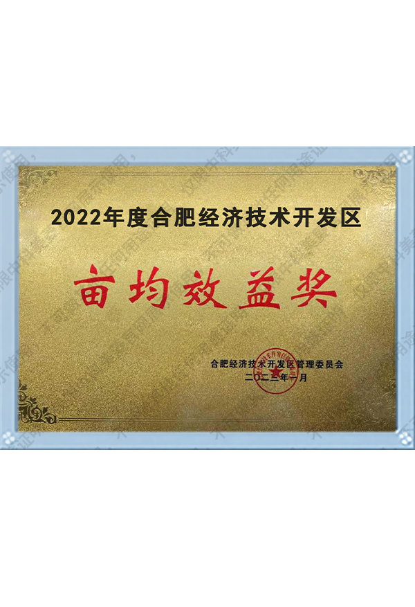 2022年度合肥經(jīng)濟(jì)技術(shù)開發(fā)區(qū)畝均效益獎